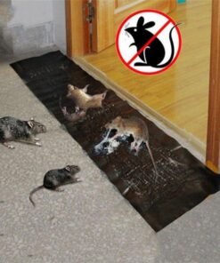 Mouse Rat Trap Sheet